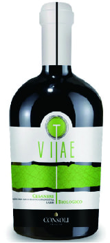 ＜Vinicola Consoli＞Cesanese I.G.T. Vitae BIO